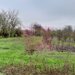 BARCANESTI (IL) - SE VINDE CASA + TEREN 16K MP