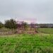 BARCANESTI (IL) - SE VINDE CASA + TEREN 16K MP